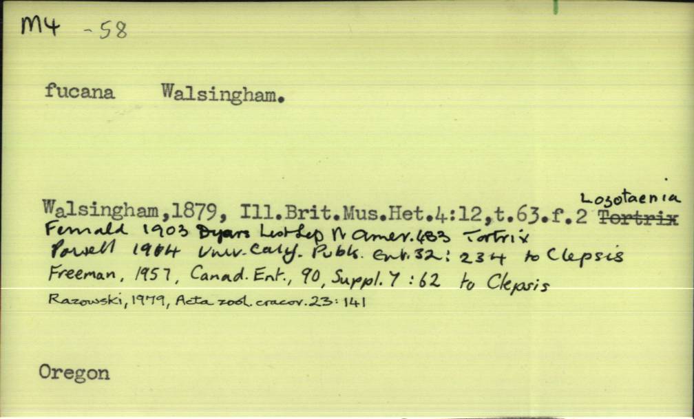 front of card
